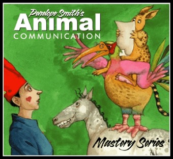 Animal Communication Mastery Series by Penelope Smith